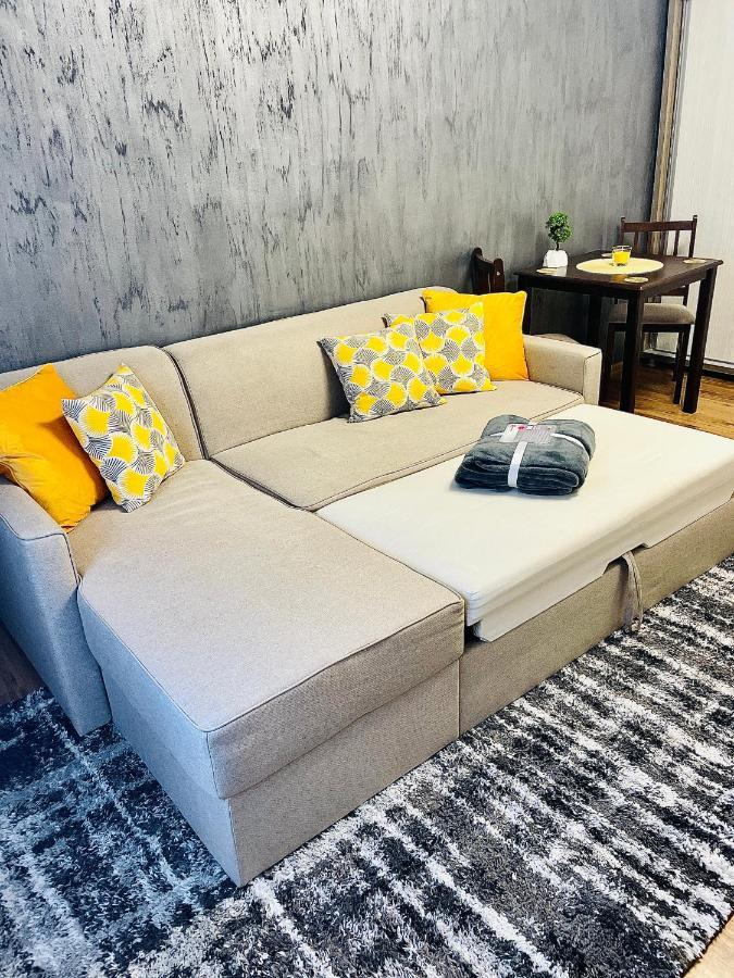 S&S Apartment Studio At Ground Floor Timisoara Town !!! Parcare La Locatie !! Екстер'єр фото