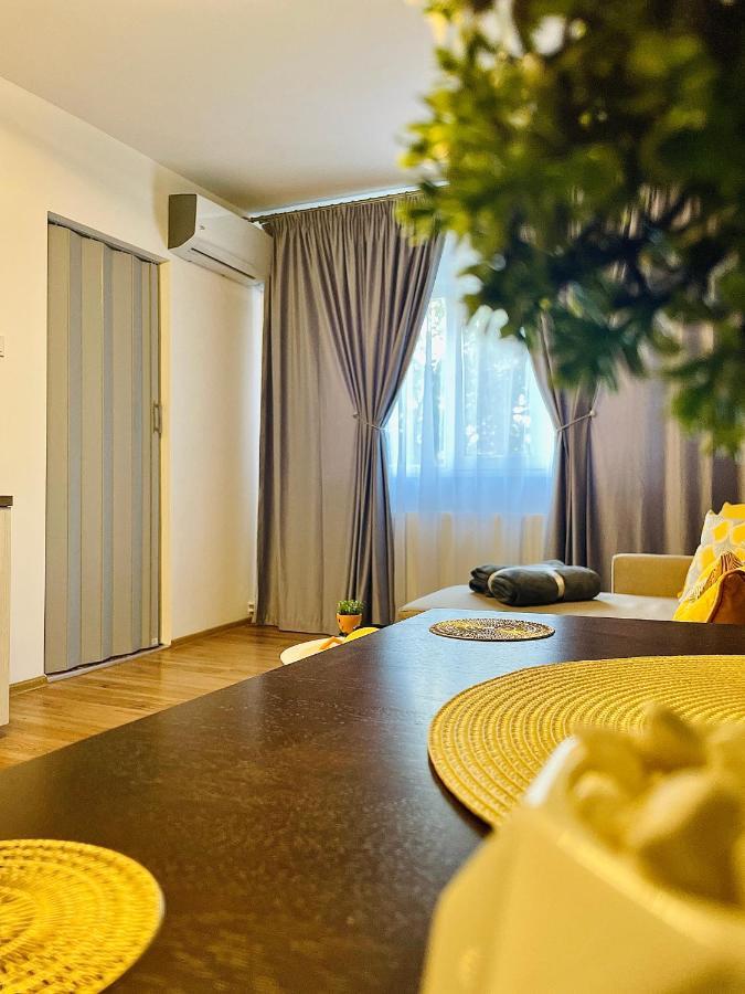 S&S Apartment Studio At Ground Floor Timisoara Town !!! Parcare La Locatie !! Екстер'єр фото