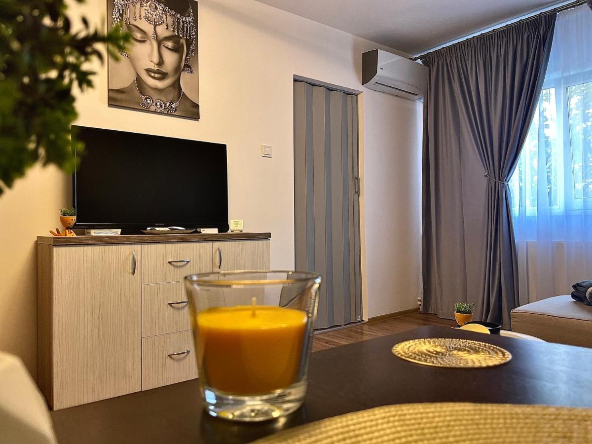 S&S Apartment Studio At Ground Floor Timisoara Town !!! Parcare La Locatie !! Екстер'єр фото