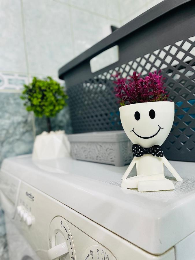S&S Apartment Studio At Ground Floor Timisoara Town !!! Parcare La Locatie !! Екстер'єр фото