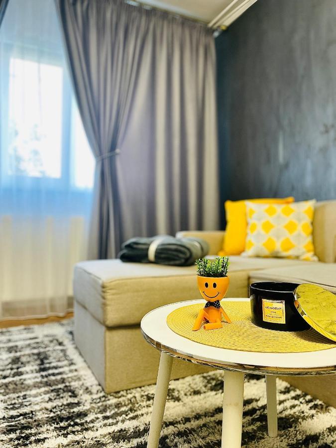 S&S Apartment Studio At Ground Floor Timisoara Town !!! Parcare La Locatie !! Екстер'єр фото