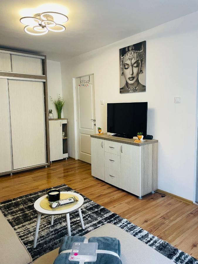 S&S Apartment Studio At Ground Floor Timisoara Town !!! Parcare La Locatie !! Екстер'єр фото