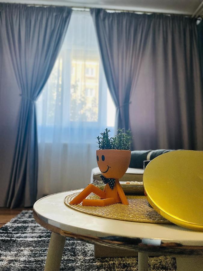 S&S Apartment Studio At Ground Floor Timisoara Town !!! Parcare La Locatie !! Екстер'єр фото